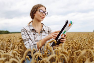 Tahıl tarlasında çalışan ve hasat geliri planlayan bir kadın tarım uzmanı. Kadın, buğday hasadının kalite kontrolünü inceliyor ve kontrol ediyor. Tarım, bahçıvanlık veya ekoloji kavramı.