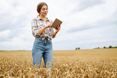 Tarlada tableti olan genç bir kadın çiftçi. Hasat. Tarım işi. Bahçe işleri konsepti. Büyüme dinamikleri.