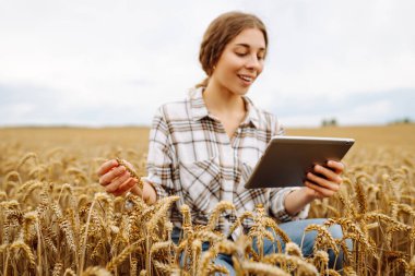 Tarlada tableti olan genç bir kadın çiftçi. Hasat. Tarım işi. Bahçe işleri konsepti. Büyüme dinamikleri.
