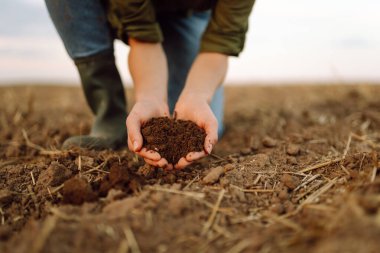 Çiftçi toprağı yakından tutuyor. Organik bahçecilik, tarım. Toprak, toprak, toprak, kahverengi toprak arka plan, doğa.. 