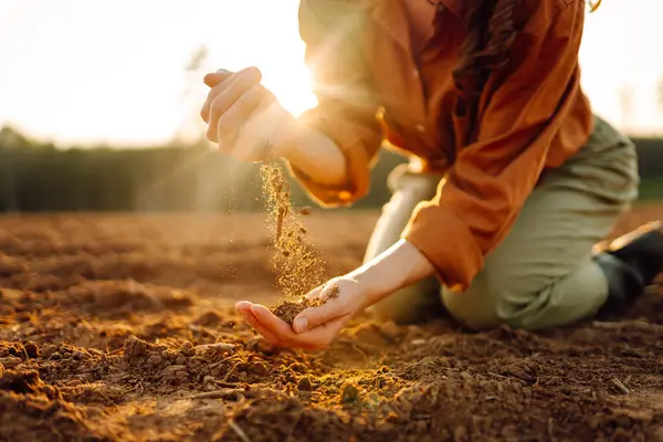 Farmer holding soil in hands close-up. Organic gardening, agriculture. Cultivated dirt, earth, ground, brown land background, nature.