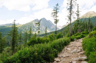 Ulusal bir parkta güzel bir dağ tatili manzarası. Yüksek Tatras Dağları 'nın yeri, Avrupa. Doğa konsepti, görüşler.