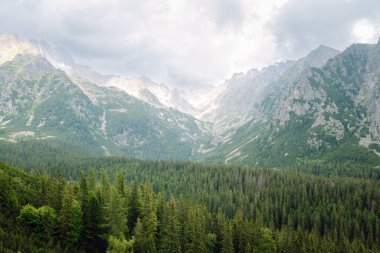 Ulusal bir parkta güzel bir dağ tatili manzarası. Yüksek Tatras Dağları 'nın yeri, Avrupa. Doğa konsepti, görüşler.