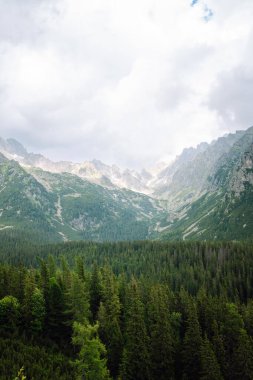 Ulusal bir parkta güzel bir dağ tatili manzarası. Yüksek Tatras Dağları 'nın yeri, Avrupa. Doğa konsepti, görüşler.