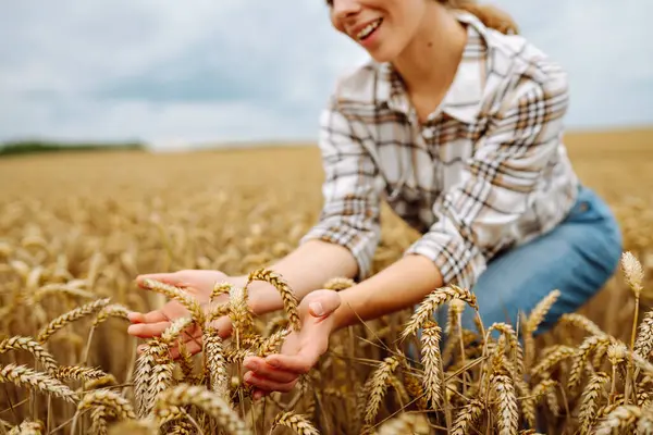 Νεαρή Αγρότισσα Στα Χέρια Της Χωράφι Σιτάρι Ελέγχει Την Ποιότητα — Φωτογραφία Αρχείου