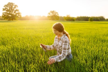 Yeşil tarlada modern tableti olan bir kadın çiftçi. Çiftlik gelişimi ve bahçıvanlık kavramı.