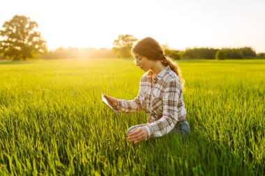 Yeşil tarlada modern tableti olan bir kadın çiftçi. Çiftlik gelişimi ve bahçıvanlık kavramı.