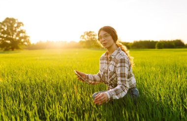Yeşil tarlada modern tableti olan bir kadın çiftçi. Çiftlik gelişimi ve bahçıvanlık kavramı.