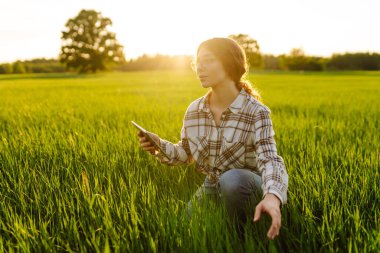Yeşil tarlada modern tableti olan bir kadın çiftçi. Çiftlik gelişimi ve bahçıvanlık kavramı.