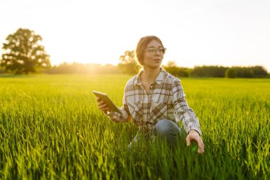 Yeşil tarlada modern tableti olan bir kadın çiftçi. Çiftlik gelişimi ve bahçıvanlık kavramı.
