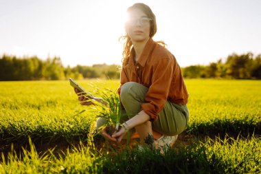 Deneyimli bir kadın elinde taze lahanalar tutuyor, buğdayın kalitesini ve büyümesini kontrol ediyor. Tarım kavramı.