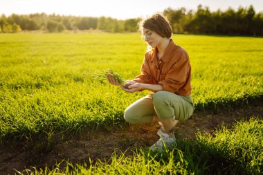 Deneyimli bir kadın elinde taze lahanalar tutuyor, buğdayın kalitesini ve büyümesini kontrol ediyor. Tarım kavramı.