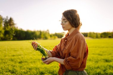 Deneyimli bir kadın elinde taze lahanalar tutuyor, buğdayın kalitesini ve büyümesini kontrol ediyor. Tarım kavramı.