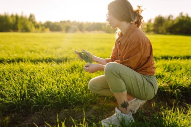 Deneyimli bir kadın elinde taze lahanalar tutuyor, buğdayın kalitesini ve büyümesini kontrol ediyor. Tarım kavramı.