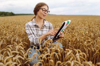 Buğday tarlasında dijital tabletli genç çiftçi mahsulün kalitesini ve büyümesini kontrol ediyor. Büyüyen doğa hasadı. Tarım çiftliği.