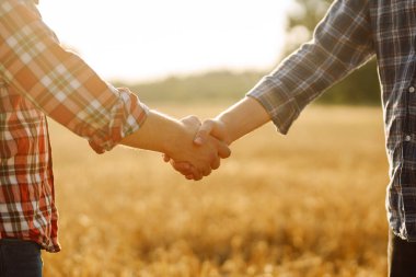 El sıkışalım. Buğday tarlasında el sıkışan iki çiftçi. Tarım sektörü.