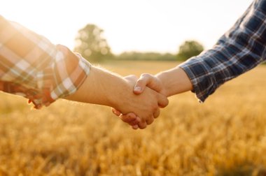 El sıkışalım. Buğday tarlasında el sıkışan iki çiftçi. Tarım sektörü.