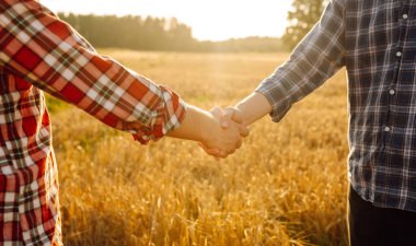 El sıkışalım. Buğday tarlasında el sıkışan iki çiftçi. Tarım sektörü.
