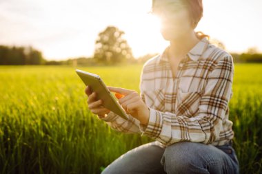 Akıllı çiftlik. Yeşil tarlada tabletli bir kadın çiftçi. Modern dijital teknolojiler. Çiftlikteki tarımcı. İş Çiftliği.