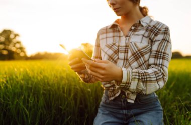 Akıllı çiftlik. Yeşil tarlada tabletli bir kadın çiftçi. Modern dijital teknolojiler. Çiftlikteki tarımcı. İş Çiftliği.