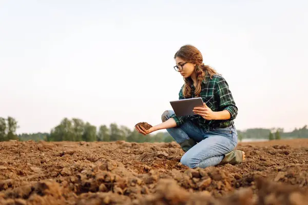 Wanita Petani Dengan Tablet Digital Memegang Tanah Hitam Tangannya Dan — Stok Foto