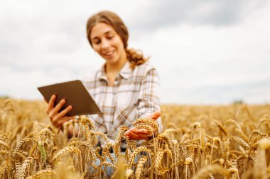 Tarlada elinde tabletle tarımcı bir kadın mahsulün büyümesini kontrol ediyor. Akıllı çiftlik. Hasat. Tarım kavramı.