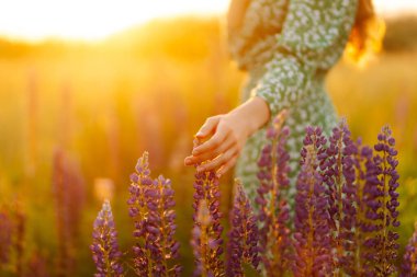 Mor lavanta çiçekleri bahçede açan güzel güneş ışığı. Yaz çayırlarında yürüyen genç bir kadın. Doğa, tatil, rahatlama ve yaşam tarzı