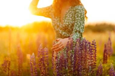 Mor lavanta çiçekleri bahçede açan güzel güneş ışığı. Yaz çayırlarında yürüyen genç bir kadın. Doğa, tatil, rahatlama ve yaşam tarzı