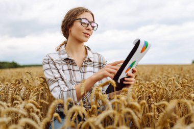 Genç çiftçi kaliteyi kontrol ediyor ve büyüme dinamiklerini sağlıyor. Tarım çiftliği.