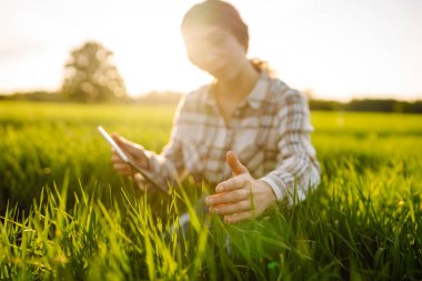 Akıllı çiftlik. Yeşil tarlada tabletli bir kadın çiftçi. Tarım, bahçıvanlık, iş veya ekoloji kavramı.