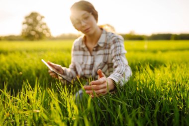 Akıllı çiftlik. Yeşil tarlada tabletli bir kadın çiftçi. Tarım, bahçıvanlık, iş veya ekoloji kavramı.
