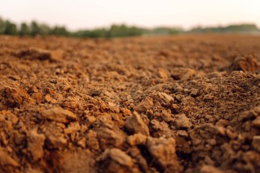 Büyümek için temiz toprak. Tohum ekmeden önce toprak. Tarım çiftliği. 