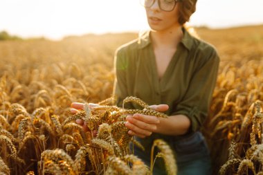 Tarladaki tarımcı kadın mahsulün büyümesini kontrol ediyor. Büyüyen doğa hasadı. Tarım çiftliği.