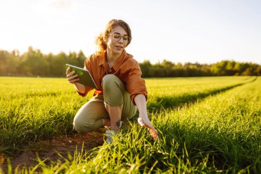 Kadın çiftçi, elinde bir tablet tutarak yetiştirdiği bir bitkinin yeşil filizlerinin arasında yürüyor. Modern dijital teknolojiler. Akıllı çiftlik.