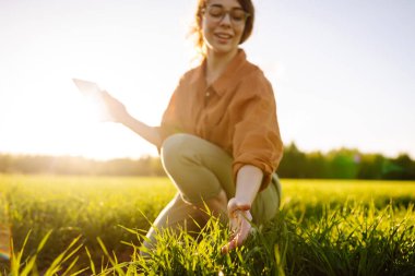 Kadın çiftçi, elinde bir tablet tutarak yetiştirdiği bir bitkinin yeşil filizlerinin arasında yürüyor. Modern dijital teknolojiler. Akıllı çiftlik.