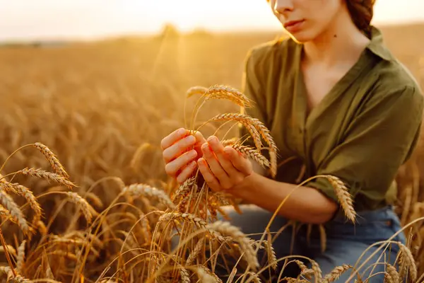 女性農夫の手で黄金の小麦の耳を拭く 農業と収穫のコンセプト ロイヤリティフリーのストック写真