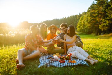 Piknik partisinde bira içerken eğlenen bir grup genç. Arkadaşlar güneşli günün tadını çıkarırlar. Tatil, hafta sonu, arkadaşlık ya da bayram konsepti.