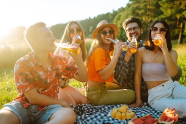 Piknik partisinde bira içerken eğlenen bir grup genç. Arkadaşlar güneşli günün tadını çıkarırlar. Tatil, hafta sonu, arkadaşlık ya da bayram konsepti.