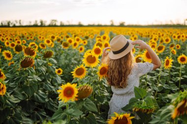 Ayçiçeği tarlasında poz veren güzel bir kadın. Moda, doğa, seyahat ve tatil konsepti.