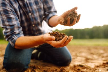 Erkek eller sahada toprağa dokunuyor. Çiftçi buğday ekmeden önce toprak kalitesini kontrol ediyor. Çevresel, Toprak Günü