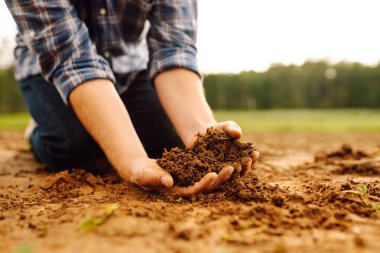 Erkek eller sahada toprağa dokunuyor. Çiftçi buğday ekmeden önce toprak kalitesini kontrol ediyor. Çevresel, Toprak Günü