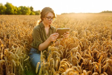 Genç bir çiftçinin elindeki dijital tablet. Modern dijital teknolojiler. Çiftlikteki tarımcı. İş Çiftliği.