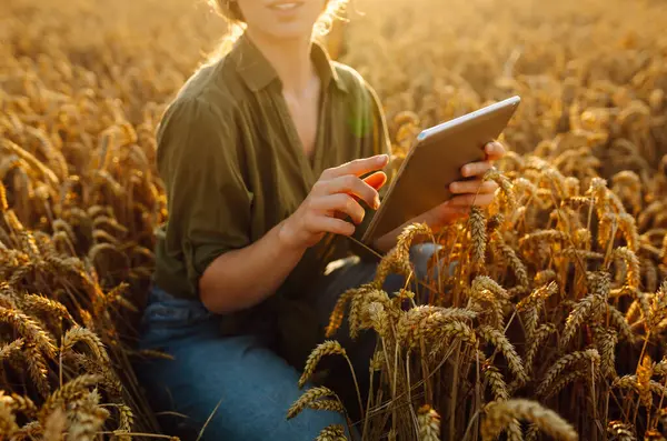 Digital Tablet Hands Young Farmer Modern Digital Technologies Agronomist Farm Imagem De Stock