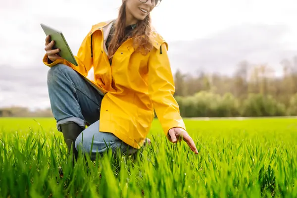 Innovativ Smart Landbrugssystem Teknologi Landbrugsstyring Kvinde Landmand Med Moderne Tablet Royaltyfrie stock-billeder