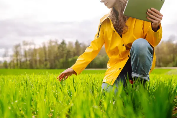 Innovativ Smart Landbrugssystem Teknologi Landbrugsstyring Kvinde Landmand Med Moderne Tablet Royaltyfrie stock-billeder