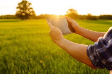 Genç bir çiftçinin elindeki dijital tablet. Modern dijital teknolojiler. Çiftlikteki tarımcı. İş Çiftliği.