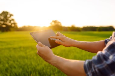 Genç bir çiftçinin elindeki dijital tablet. Modern dijital teknolojiler. Çiftlikteki tarımcı. İş Çiftliği.