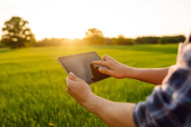 Genç bir çiftçinin elindeki dijital tablet. Modern dijital teknolojiler. Çiftlikteki tarımcı. İş Çiftliği.