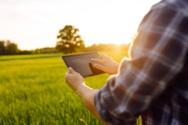 Genç bir çiftçinin elindeki dijital tablet. Modern dijital teknolojiler. Çiftlikteki tarımcı. İş Çiftliği.