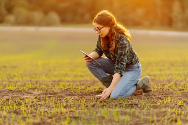 Çizmeli çiftçi kadın toprağın kalitesini kontrol ediyor. Agronomist analizler yeni tohum büyümesinin ilerlemesini gösteriyor. Bahçe ve ekoloji kavramı.